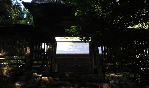 IMAG0240