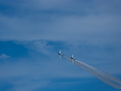 P1010165.jpg