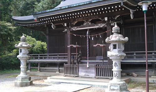 IMAG0263