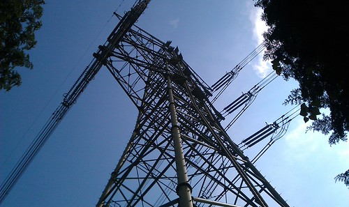 IMAG0229