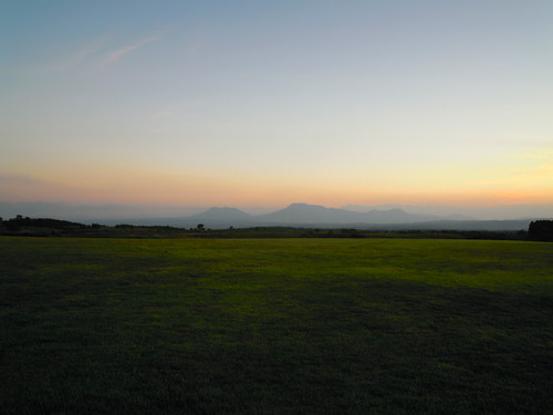 DSCN2411