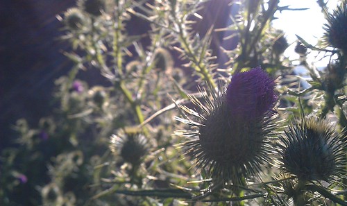 IMAG0208