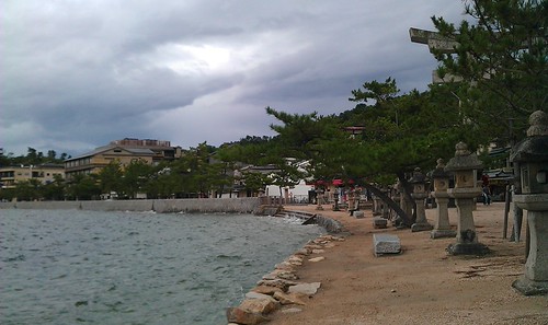 IMAG0478