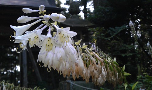 IMAG0245