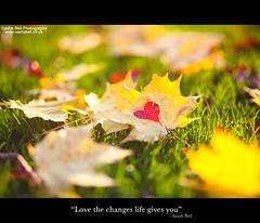"Love the changes life gives you"