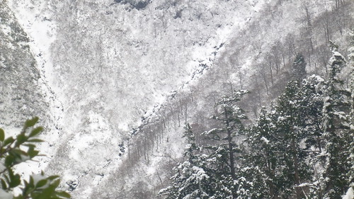 茂倉新道から見下ろす茂倉谷
