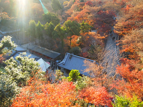 清水寺　紅葉