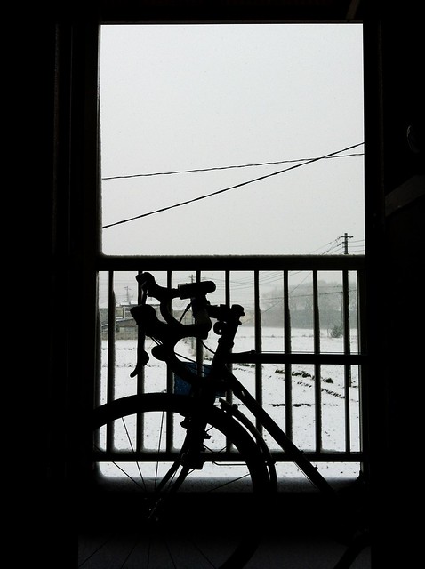 玄関開けたら雪じゃーー