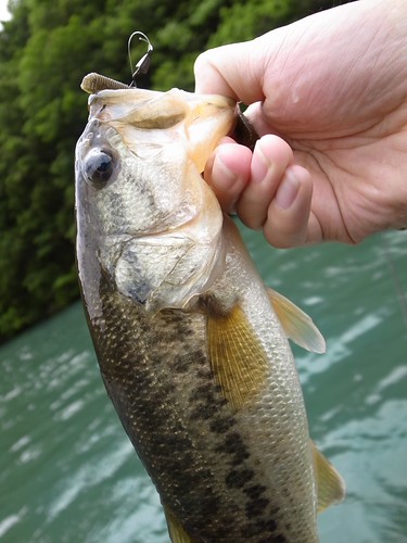 2012-05-12 04:59:18 +0000