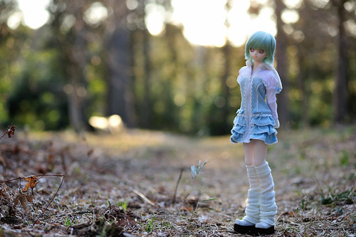 DD ニア　初めてのお散歩～