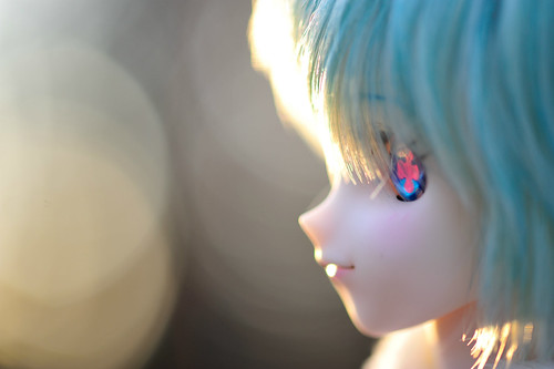DD ニア　初めてのお散歩～