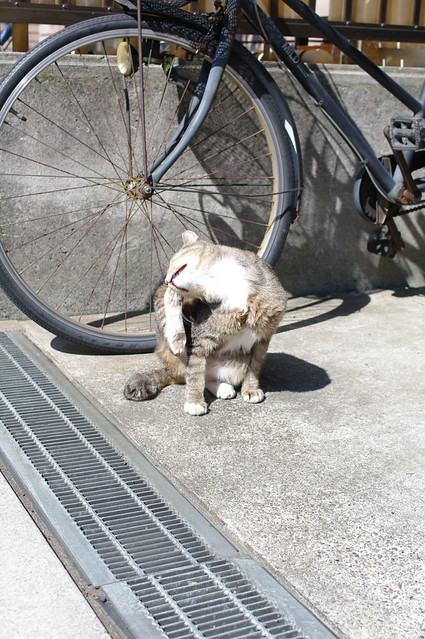 20120613