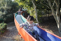 IMG_4443.JPG