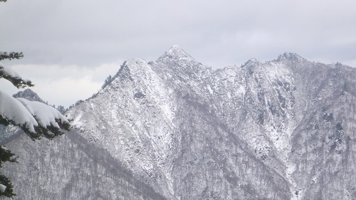 茂倉新道から見える足拍子山山頂