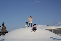 IMG_4446.JPG