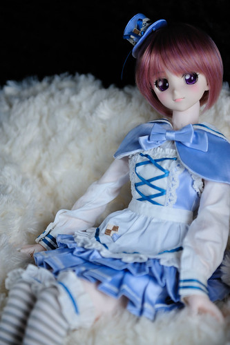 DD　nia
