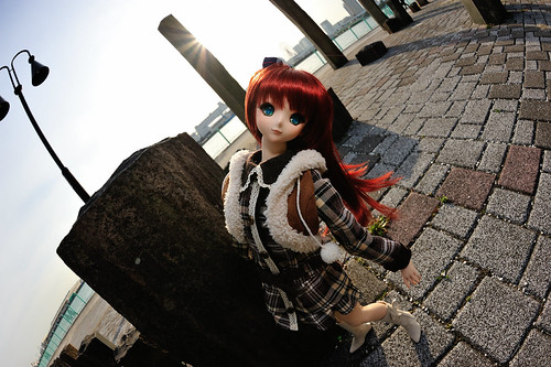 DD Akira Fish eye