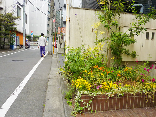 20120601