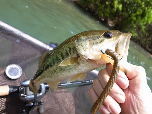 2012-05-12 04:57:15 +0000