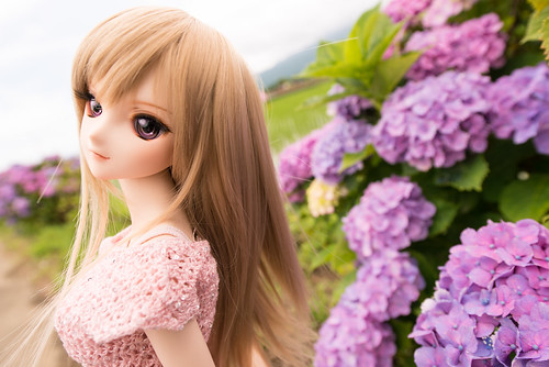 aoko03