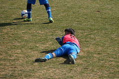 DSC03416 (1)