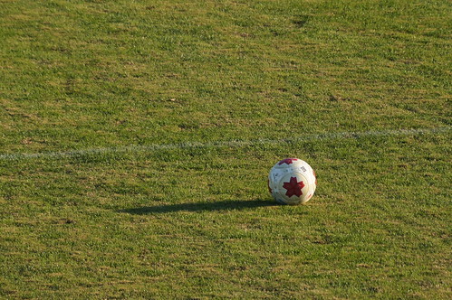 DSC03498 (1)