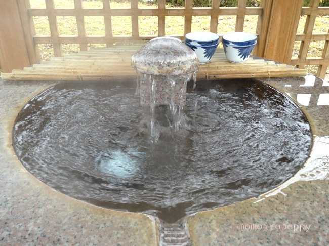 兵庫 城崎温泉 編 冬の山陰海岸ジオパーク旅 自然の恵みがもたらす愛のカタチを探しに ２ 桃色ポピー 猫 美食 旅行記