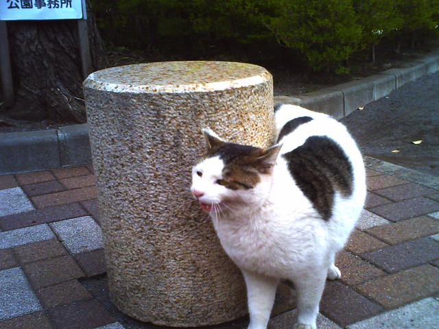 PICT0202