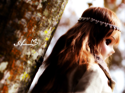 07autumn_003