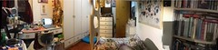 "Panoramic view of my bedroom" - POV from the headrest of my bed