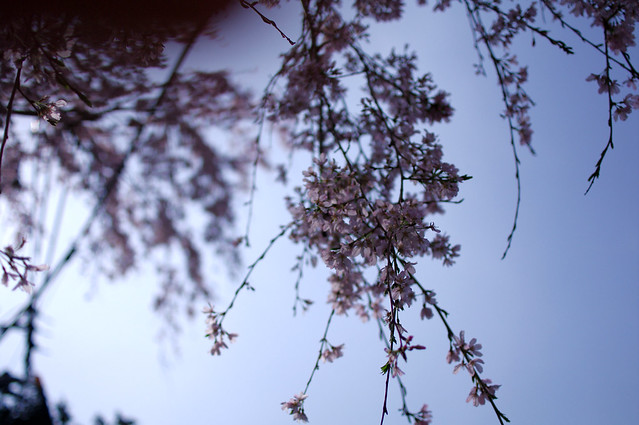20130320_01