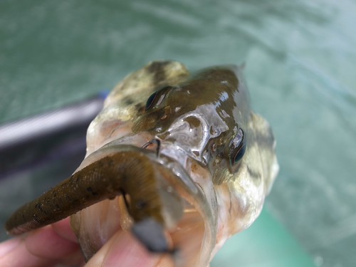 2012-05-12 04:58:18 +0000