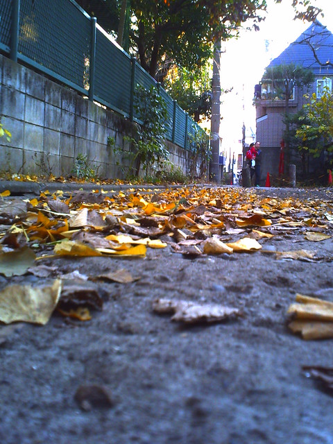 PICT0141