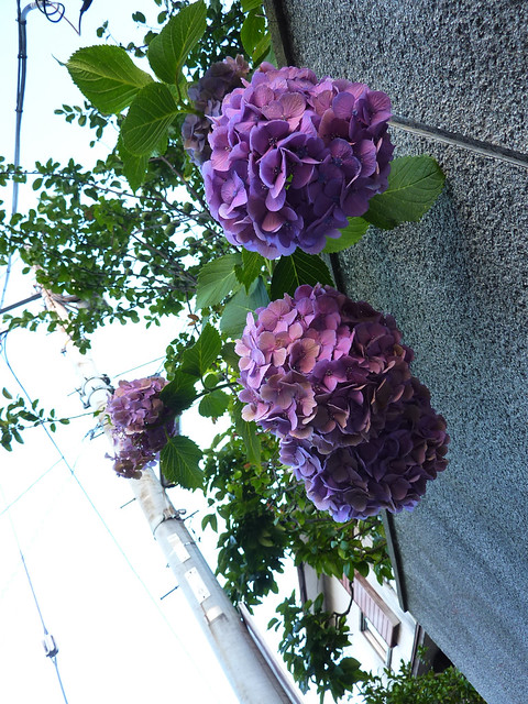 20120705