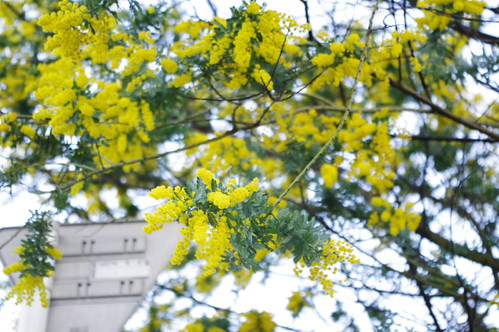 2012_spring02