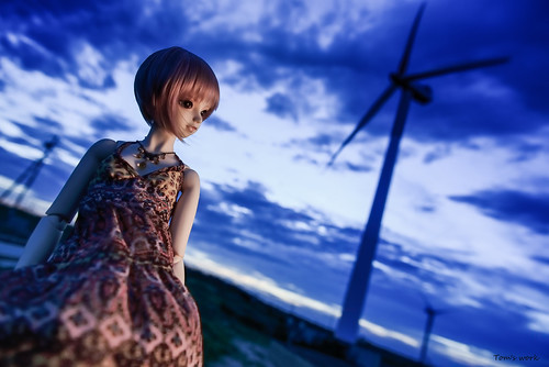 Summer evenings　SD　Elena