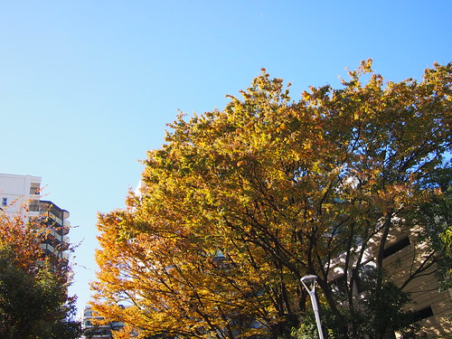PB101589