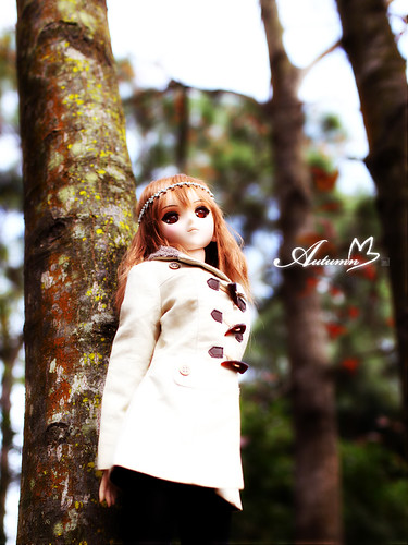 07autumn_004