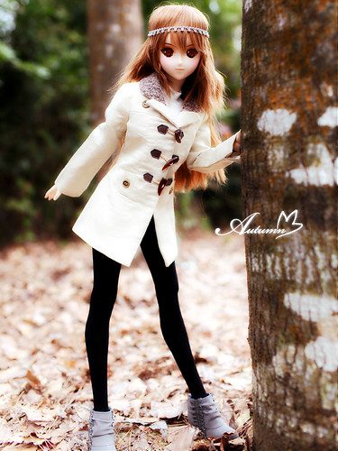 07autumn_006