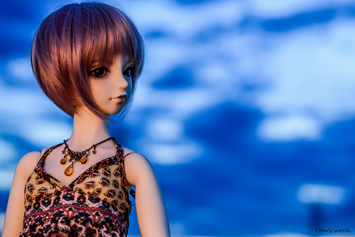 Summer evenings　SD　Elena