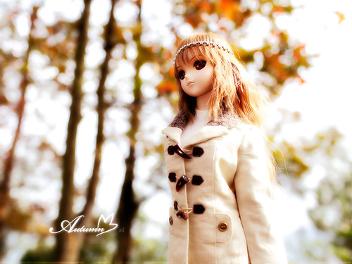 07autumn_007