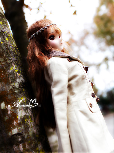 07autumn_002