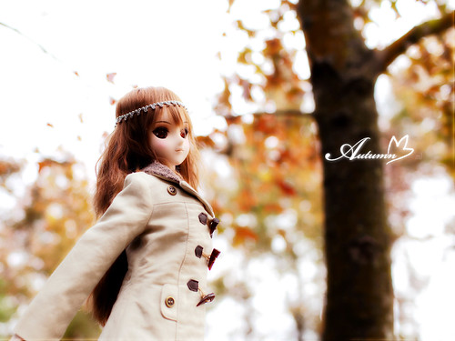 07autumn_005