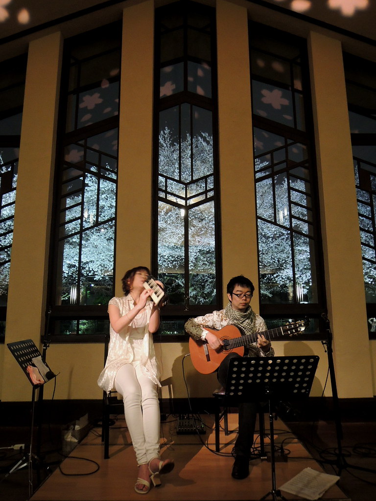 Night Concert in Cherry Blossoms Season