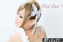 にほんブログ村 ファッションブログ ボディジュエリーへ