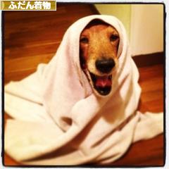 にほんブログ村 ファッションブログ ふだん着物（和服）へ