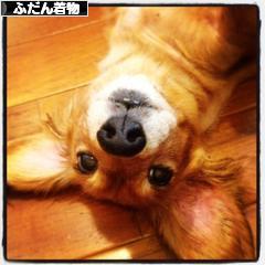 にほんブログ村 ファッションブログ ふだん着物（和服）へ