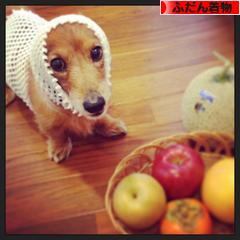 にほんブログ村 ファッションブログ ふだん着物（和服）へ