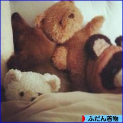 にほんブログ村 ファッションブログ ふだん着物（和服）へ