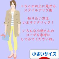 にほんブログ村 ファッションブログ 小さいサイズへ